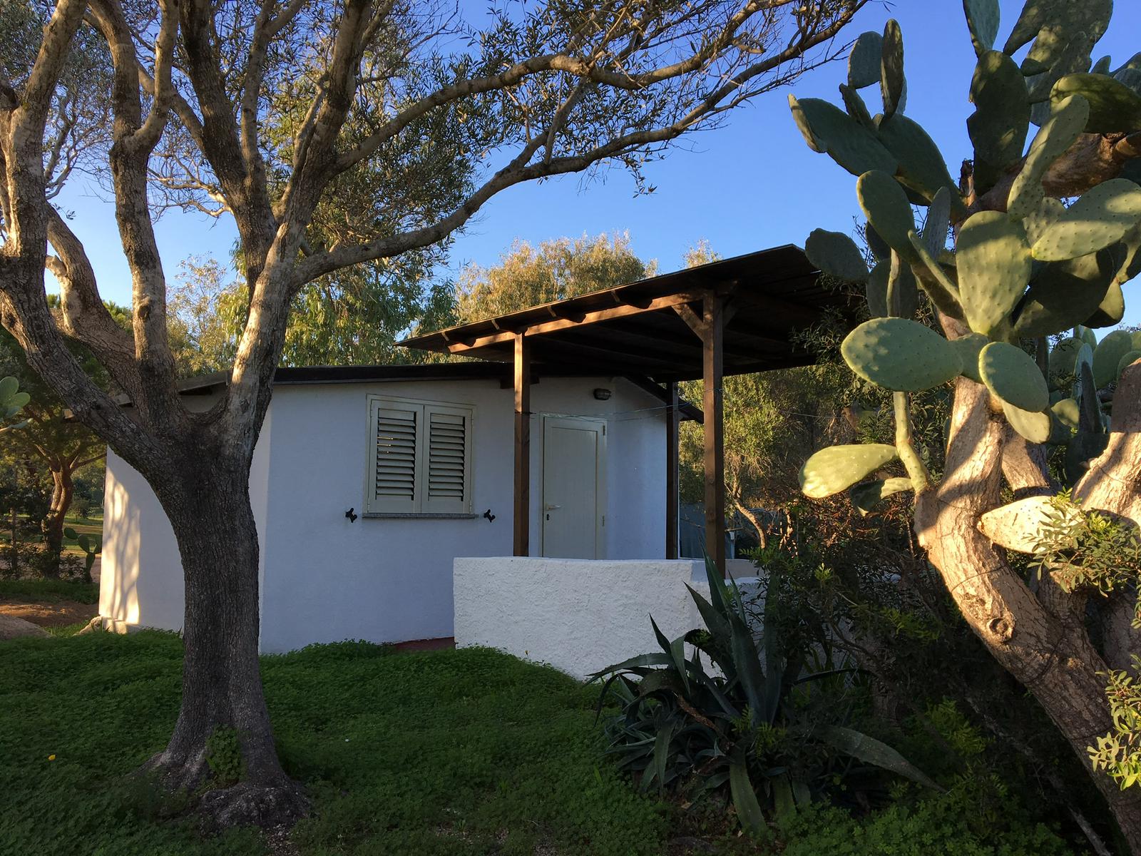 WhatsApp Image 2025-10-17 at 08.22.09