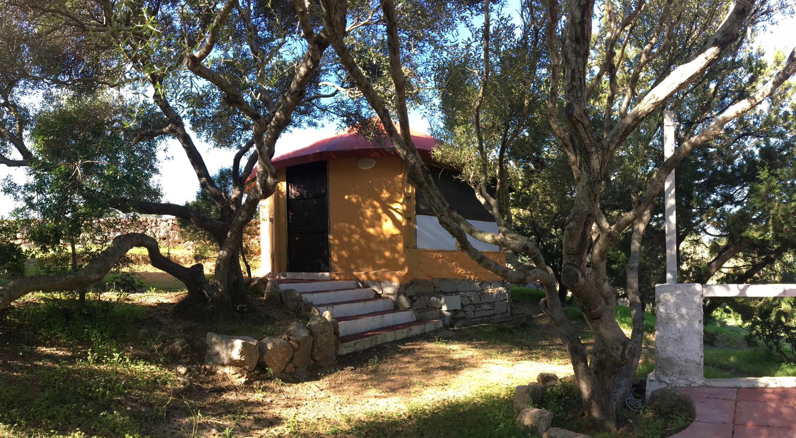 WhatsApp Image 2025-10-17 at 08.22.53